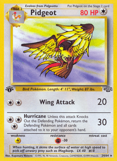 Pidgeot Jungle #24