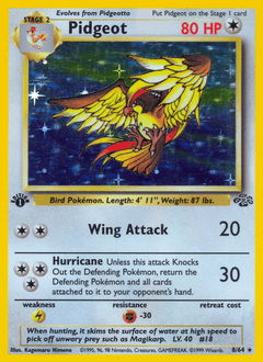 Pidgeot Jungle #8