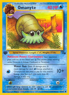Omanyte Fossil #52