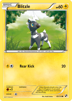 Blitzle Black & White #40