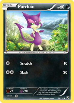 Purrloin Black & White #66