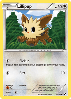 Lillipup Black & White #80