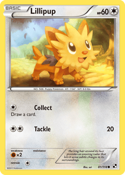 Lillipup Black & White #81