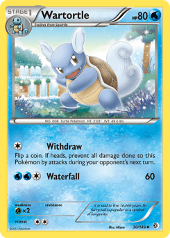 Wartortle Boundaries Crossed #30