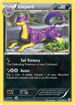 Liepard Boundaries Crossed #91