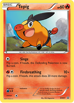 Tepig BW Black Star Promos #BW07