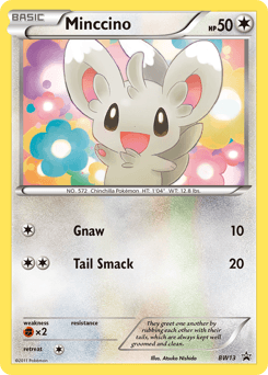 Minccino BW Black Star Promos #BW13