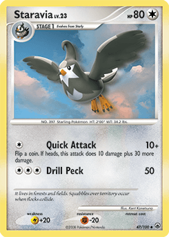 Staravia Majestic Dawn #47