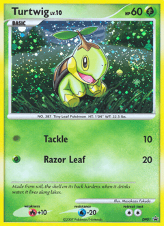 Turtwig DP Black Star Promos #DP01