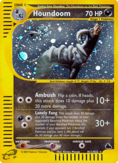 Houndoom Skyridge #H11