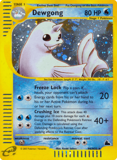 Dewgong Skyridge #H6