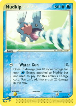 Mudkip Dragon #65
