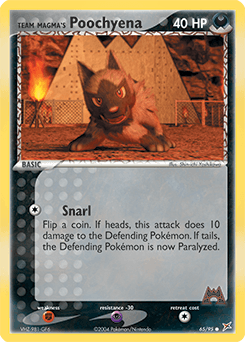 Team Magma's Poochyena Team Magma vs Team Aqua #65