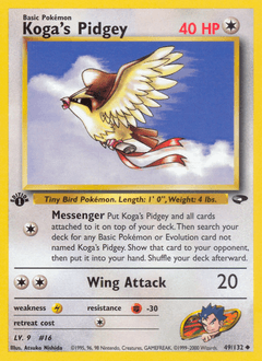 Koga's Pidgey Gym Challenge #49