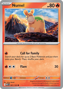 Numel Mega Evolution #21