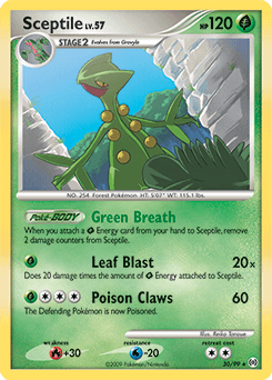 Sceptile Arceus #30
