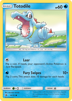 Totodile Dragon Majesty #22