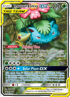 Venusaur & Snivy-GX SM Black Star Promos #SM229