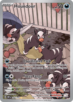 Houndour Obsidian Flames #204