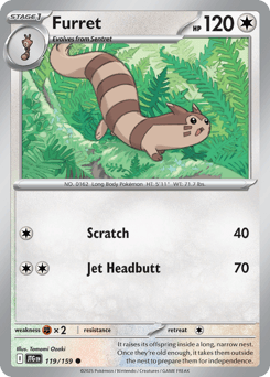 Furret Journey Together #119
