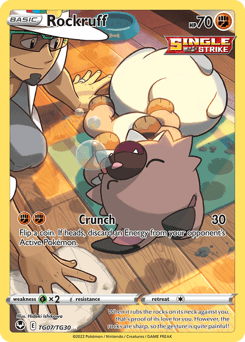 Rockruff Silver Tempest Trainer Gallery #TG07