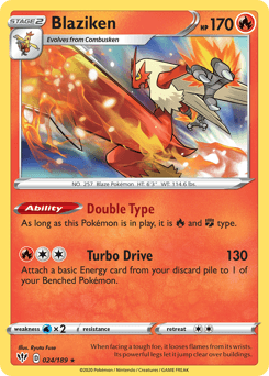 Blaziken Darkness Ablaze #24