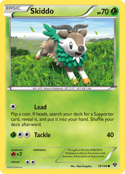 Skiddo XY #18