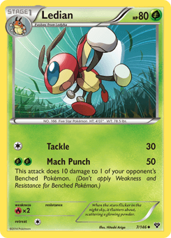 Ledian XY #7