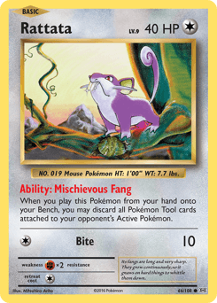 Rattata Evolutions #66