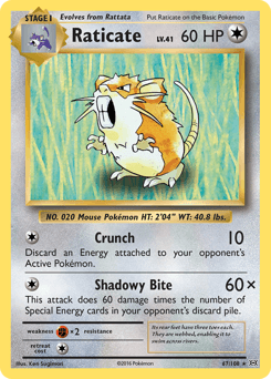 Raticate Evolutions #67