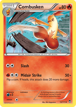 Combusken Furious Fists #13