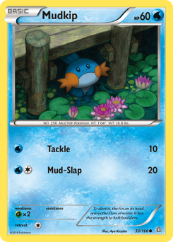 Mudkip Primal Clash #33