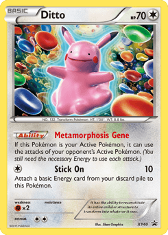 Ditto XY Black Star Promos #XY40
