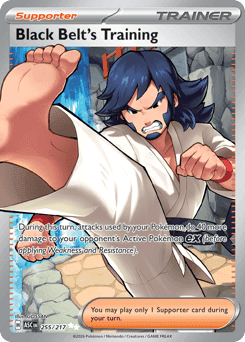 Black Belt's Training Ascended Heroes #255