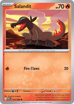 Salandit Perfect Order #15