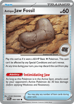 Antique Jaw Fossil Perfect Order #68